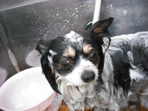 ファイル 713-2.jpg