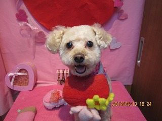 ファイル 7130-2.jpg