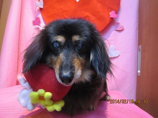 ファイル 7132-1.jpg