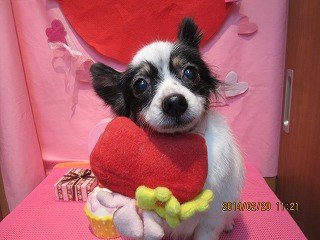 ファイル 7135-1.jpg