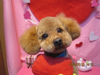 ファイル 7136-1.jpg