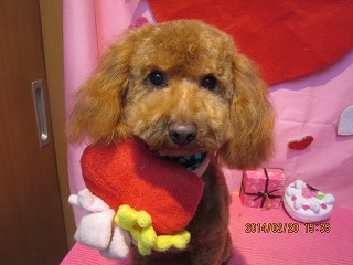 ファイル 7138-1.jpg