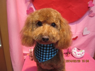 ファイル 7138-2.jpg