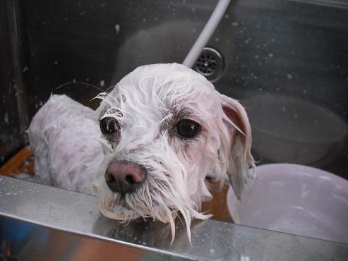 ファイル 714-2.jpg