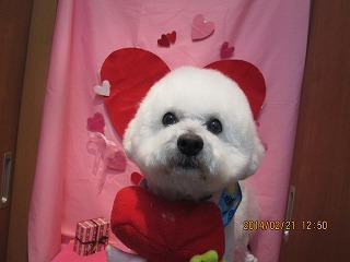 ファイル 7140-1.jpg