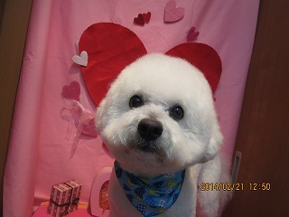 ファイル 7140-2.jpg