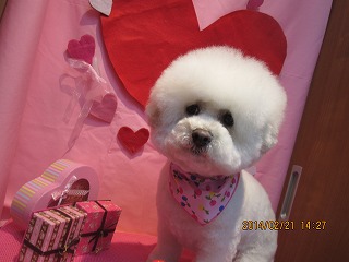 ファイル 7141-1.jpg