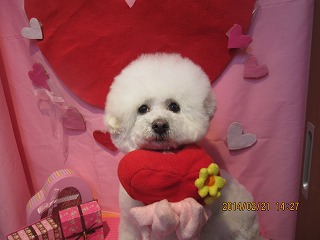 ファイル 7141-2.jpg