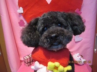 ファイル 7142-1.jpg