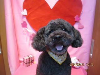 ファイル 7142-2.jpg