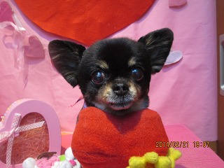 ファイル 7143-1.jpg