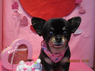 ファイル 7143-2.jpg