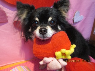 ファイル 7144-1.jpg