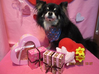 ファイル 7144-2.jpg