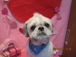 ファイル 7145-2.jpg