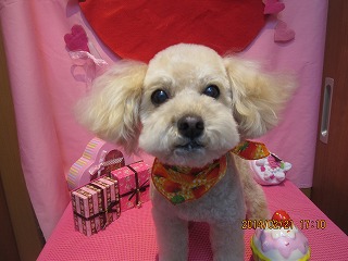 ファイル 7146-2.jpg