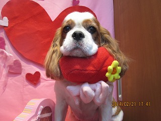 ファイル 7147-1.jpg