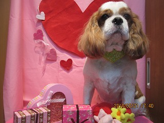 ファイル 7147-2.jpg