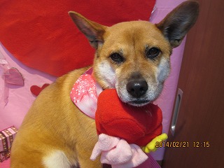 ファイル 7148-1.jpg