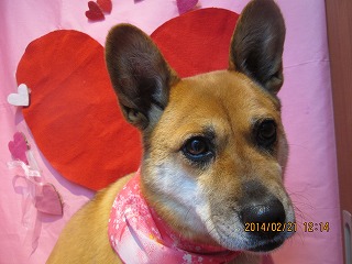 ファイル 7148-2.jpg