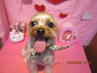 ファイル 7149-2.jpg