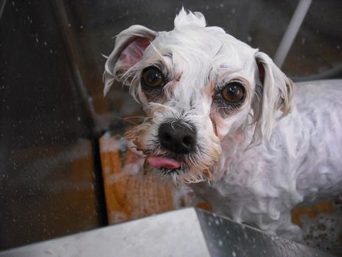 ファイル 715-2.jpg