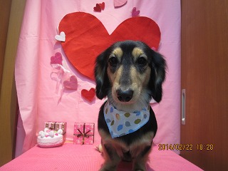 ファイル 7150-1.jpg