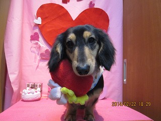 ファイル 7150-2.jpg