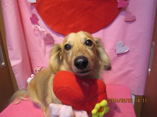 ファイル 7151-1.jpg