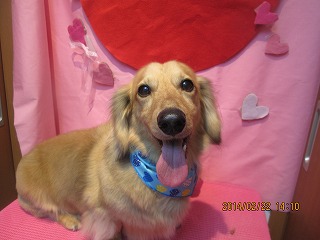 ファイル 7151-2.jpg