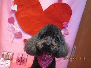 ファイル 7152-2.jpg