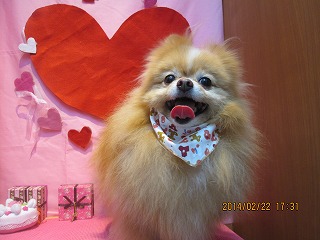 ファイル 7153-2.jpg