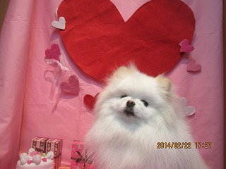 ファイル 7154-2.jpg