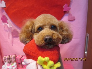 ファイル 7156-1.jpg