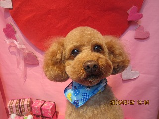 ファイル 7156-2.jpg