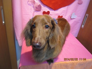 ファイル 7157-2.jpg