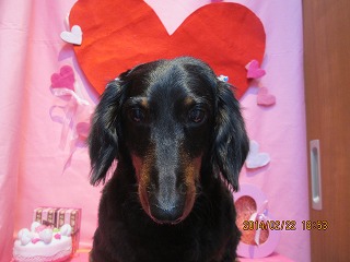 ファイル 7158-2.jpg