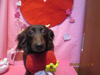 ファイル 7159-1.jpg