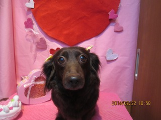 ファイル 7159-2.jpg