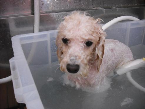 ファイル 716-2.jpg