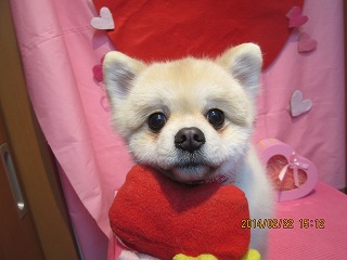 ファイル 7160-1.jpg