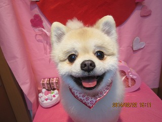 ファイル 7160-2.jpg