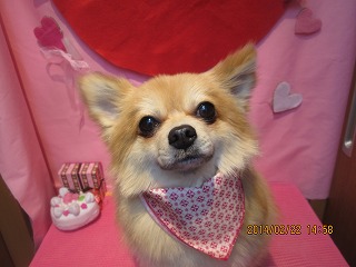 ファイル 7161-2.jpg