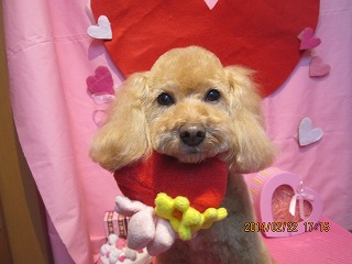 ファイル 7162-1.jpg