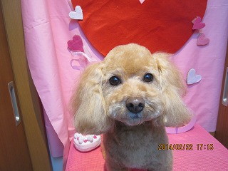 ファイル 7162-2.jpg