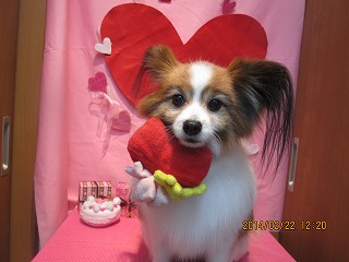 ファイル 7163-1.jpg