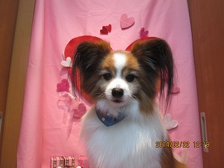 ファイル 7163-2.jpg