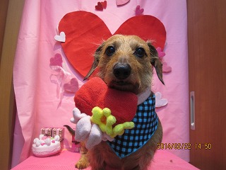 ファイル 7165-1.jpg