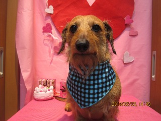 ファイル 7165-2.jpg