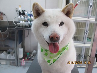 ファイル 7166-2.jpg